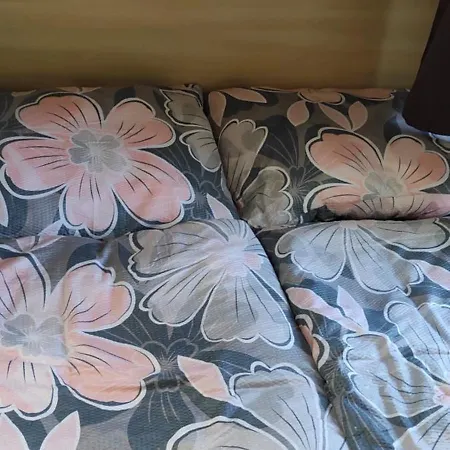 Karavan Mezi Vinohrady Σαλέ Dolní Bojanovice